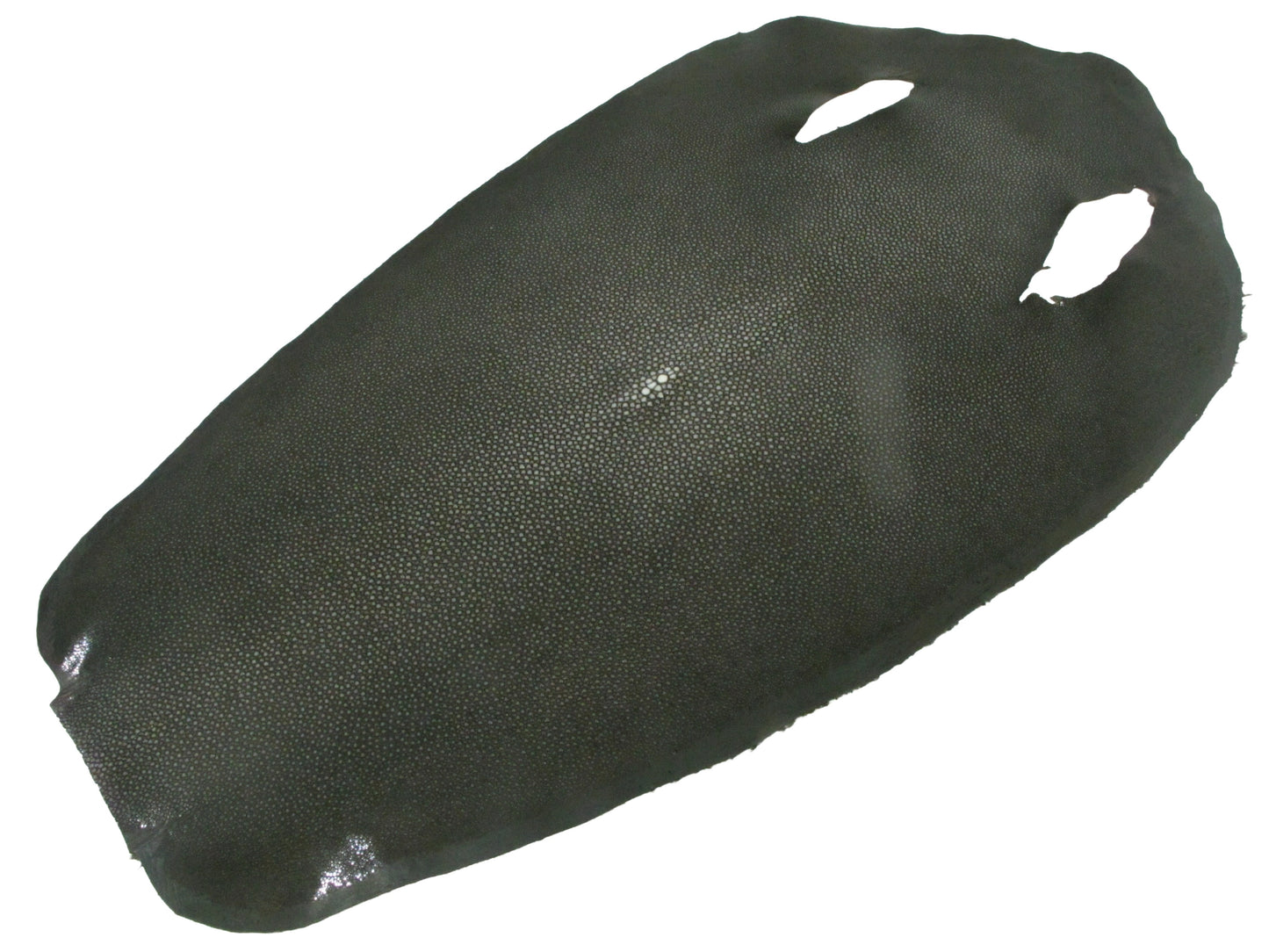 Genuine Polished Stingray Skin Leather Round Shape Hide Pelt