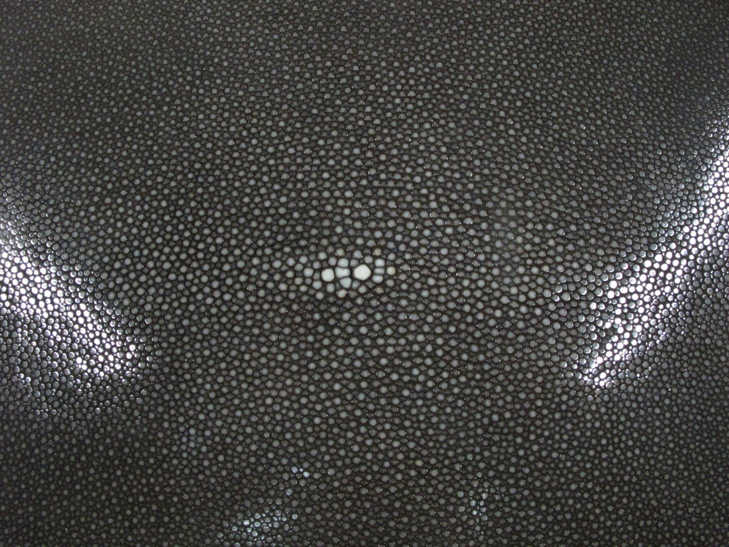 Genuine Polished Stingray Skin Leather Round Shape Hide Pelt