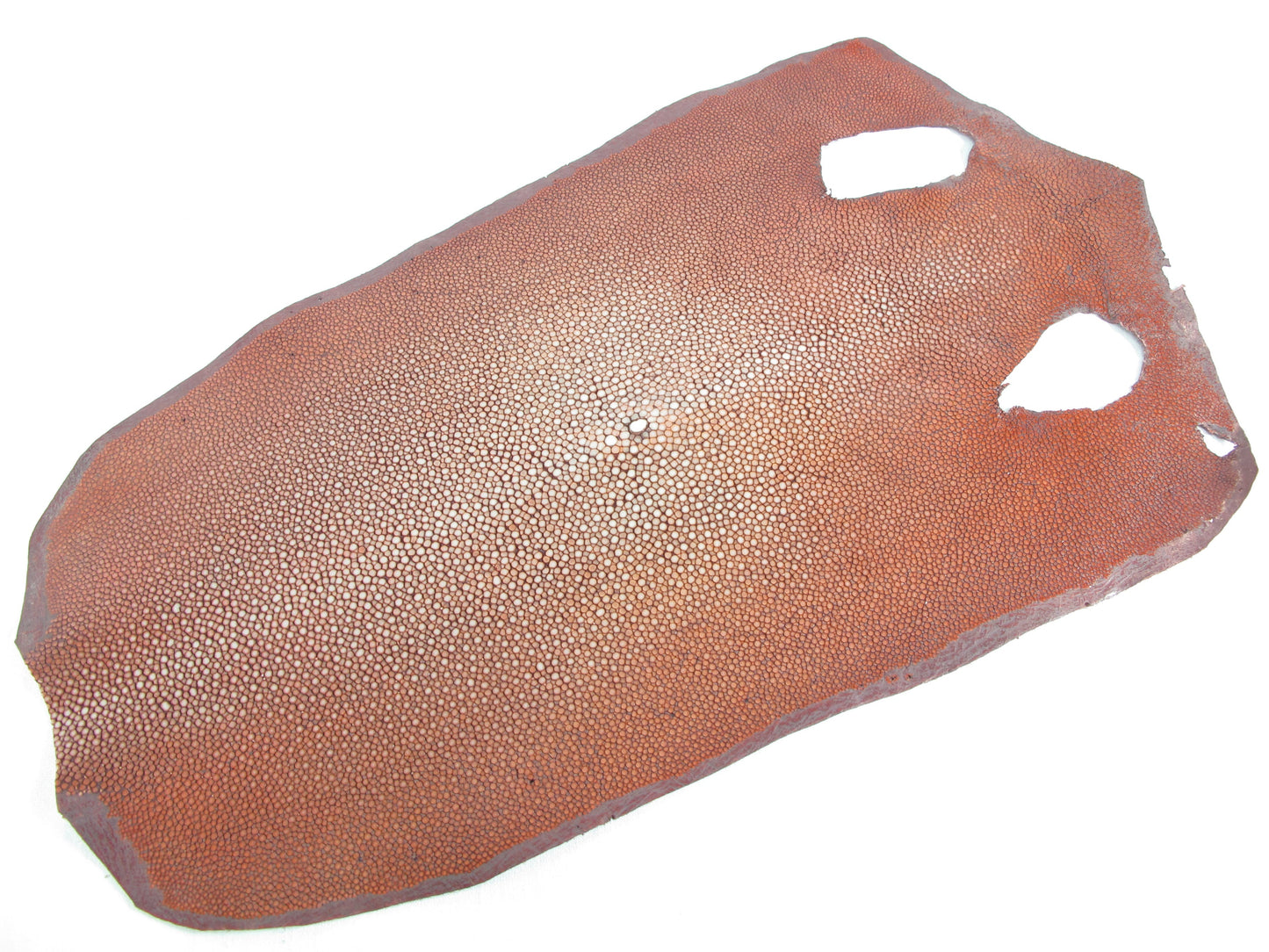 Genuine Polished Stingray Skin Leather Round Shape Hide Pelt