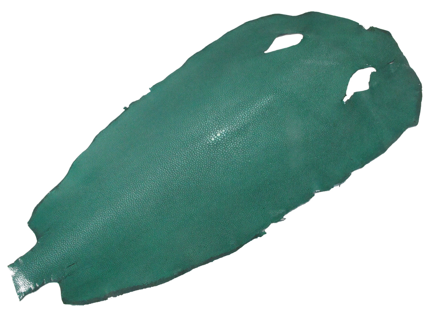 Genuine Polished Stingray Skin Leather Round Shape Hide Pelt