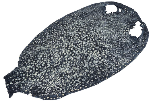Genuine Polished Porcupine Stingray Skin Leather Hide Pelt