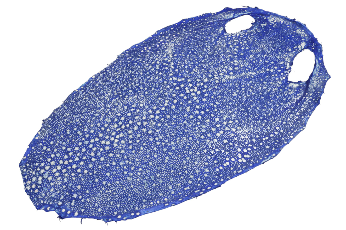 Genuine Polished Porcupine Stingray Skin Leather Hide Pelt