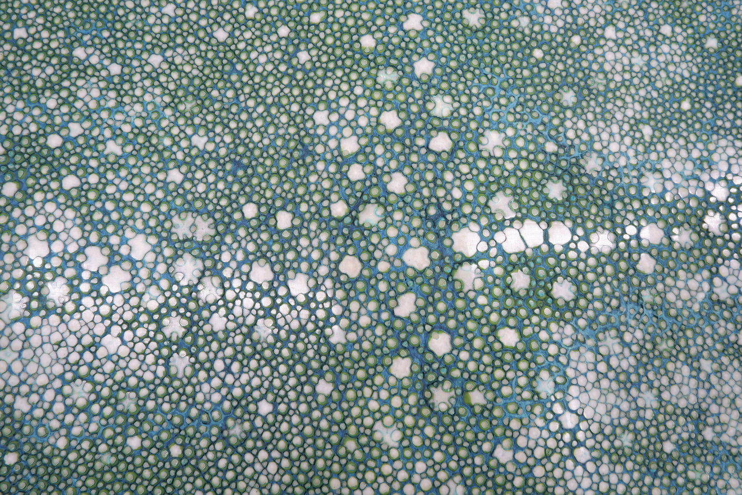 Genuine Polished Porcupine Stingray Skin Leather Hide Pelt