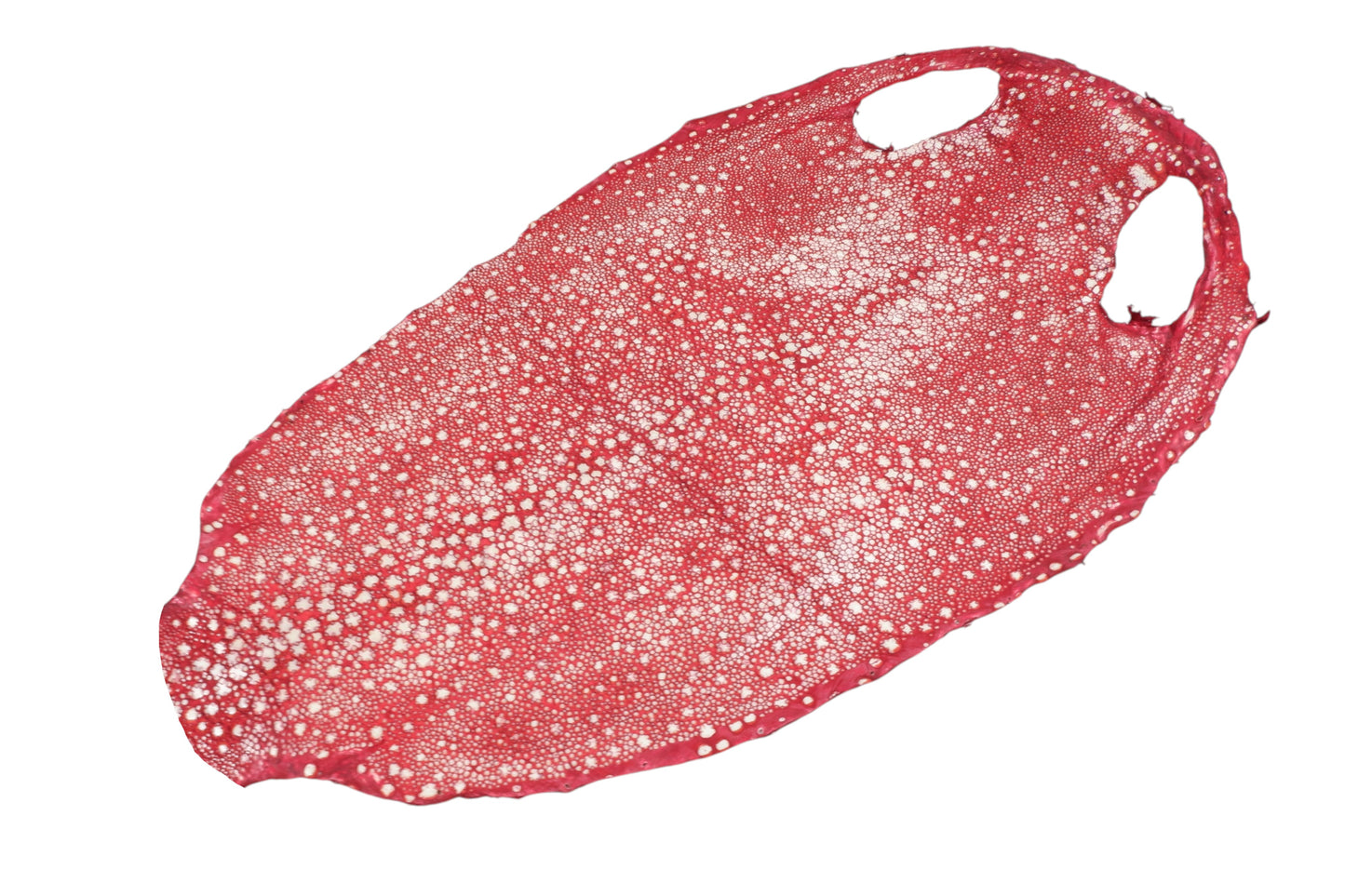 Genuine Polished Porcupine Stingray Skin Leather Hide Pelt