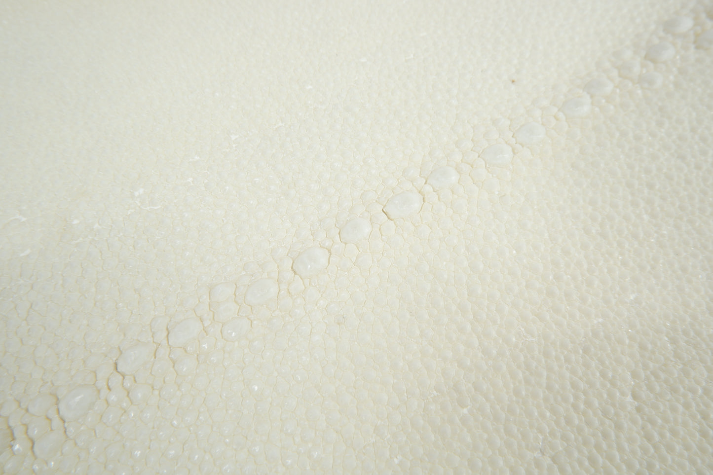 Genuine Stingray Skin Leather Row Diamond Crust Hide Pelt