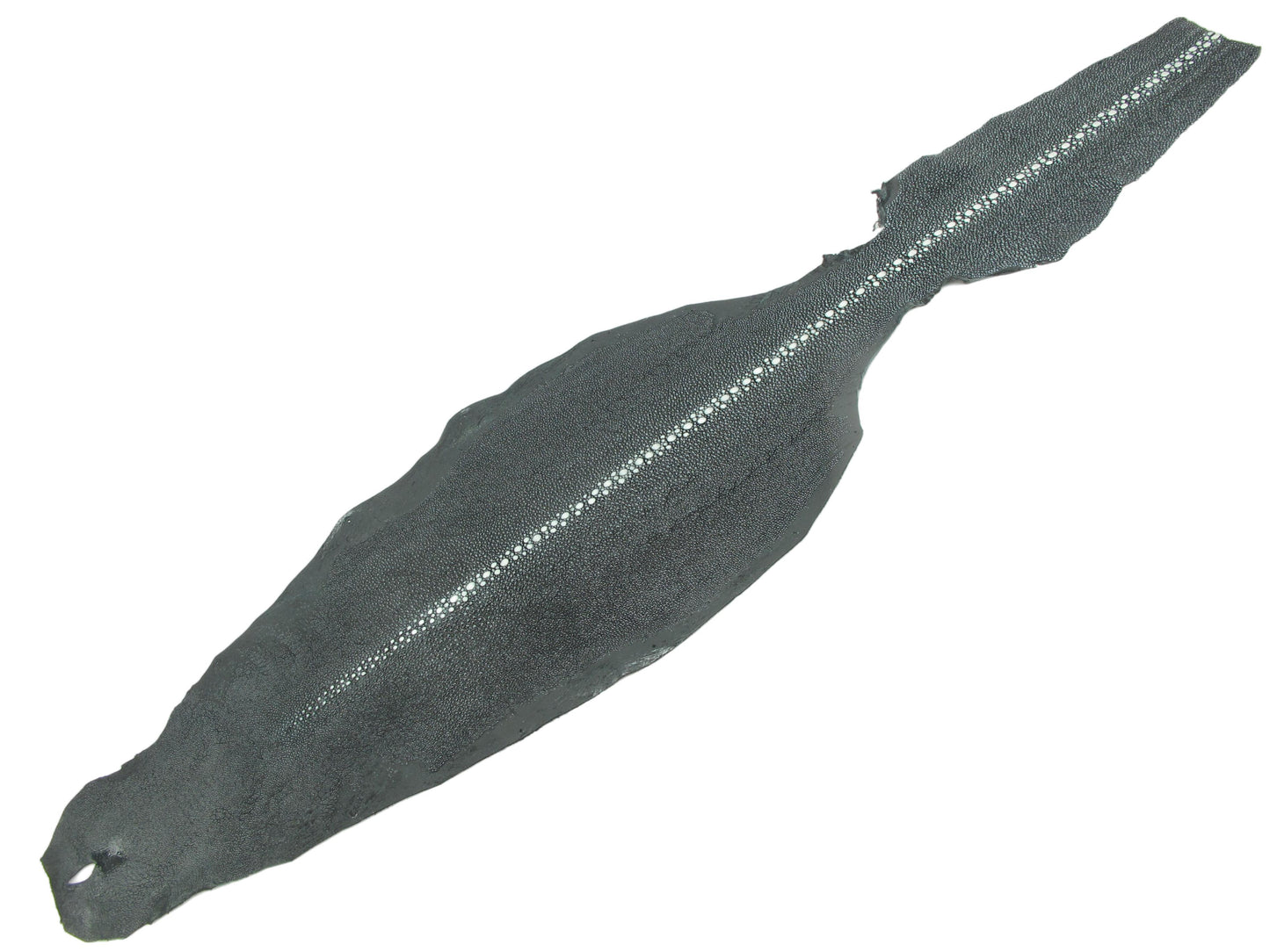 Genuine Stingray Skin Semi Polished Row Diamond Leather Hide Pelt