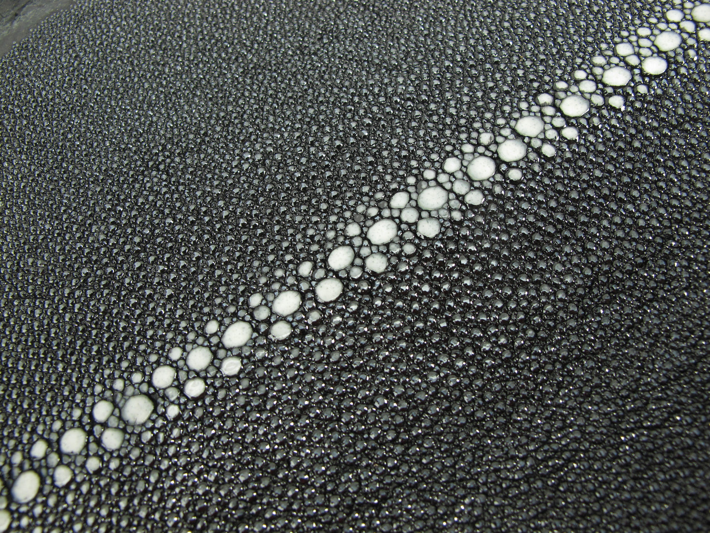 Genuine Stingray Skin Semi Polished Row Diamond Leather Hide Pelt