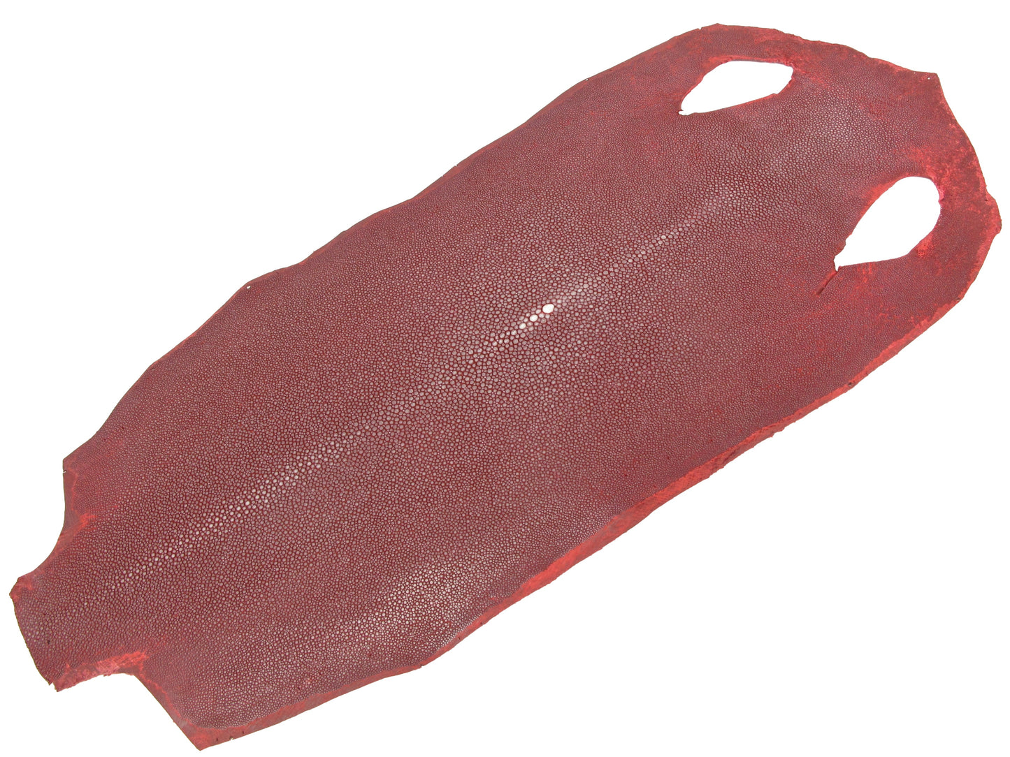 Genuine Polished Stingray Skin Leather Long Shape Hide Pelt