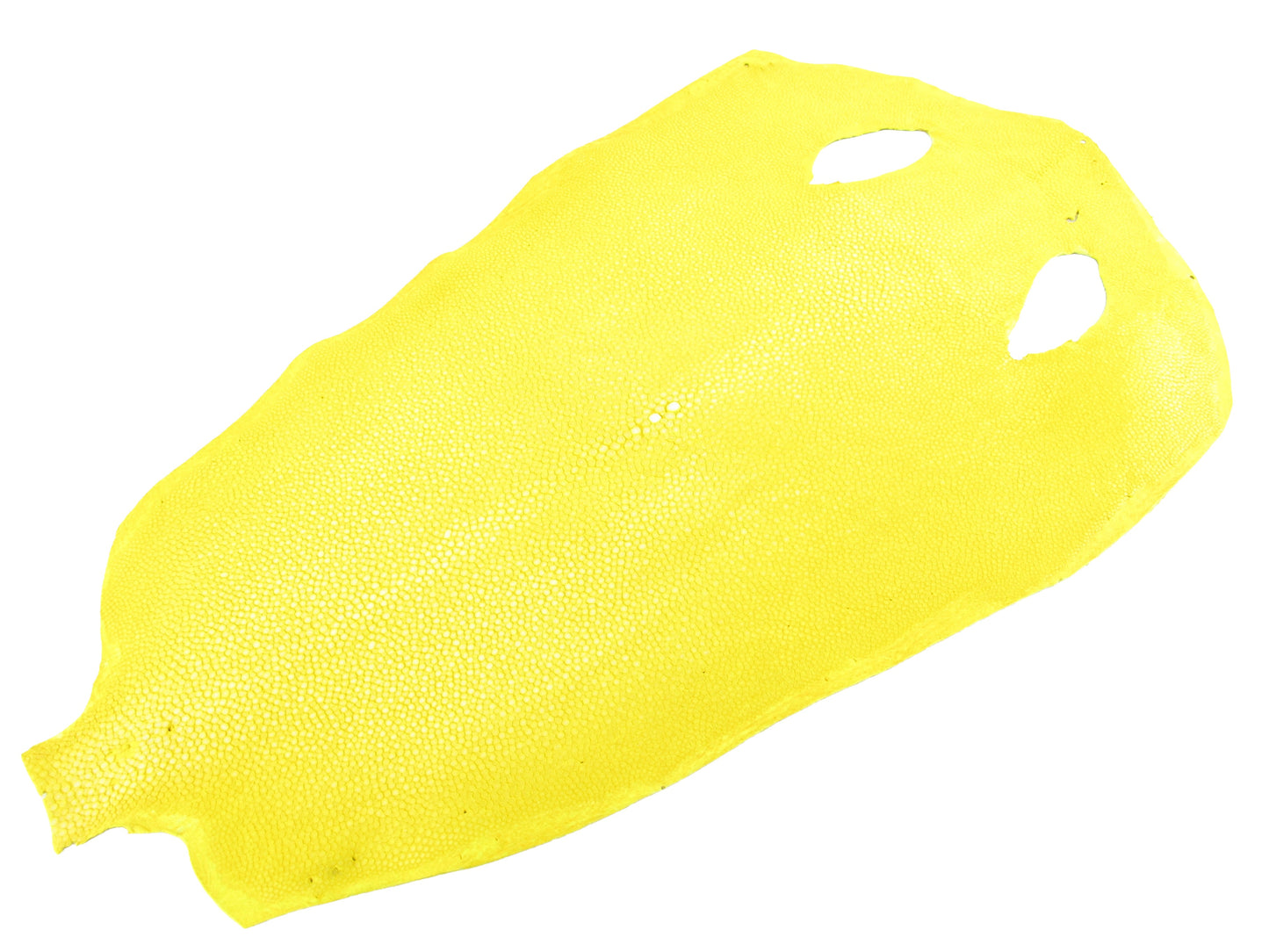 Genuine Polished Stingray Skin Leather Round Shape Hide Pelt