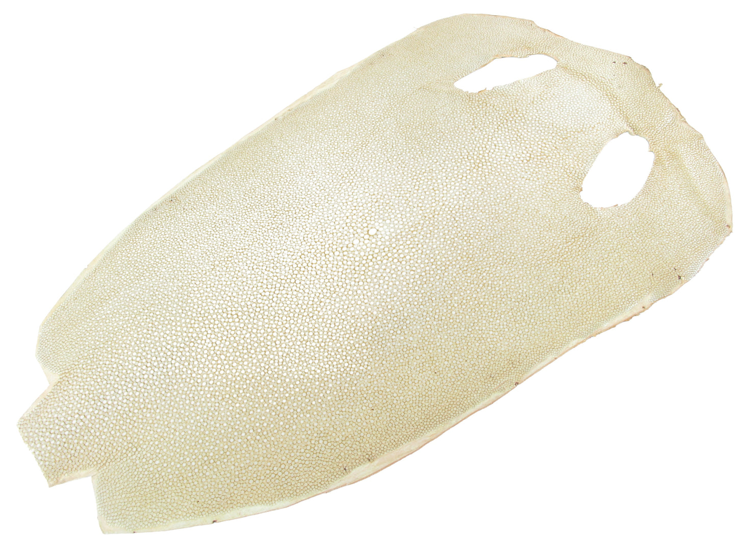 Genuine Polished Stingray Skin Leather Round Shape Hide Pelt