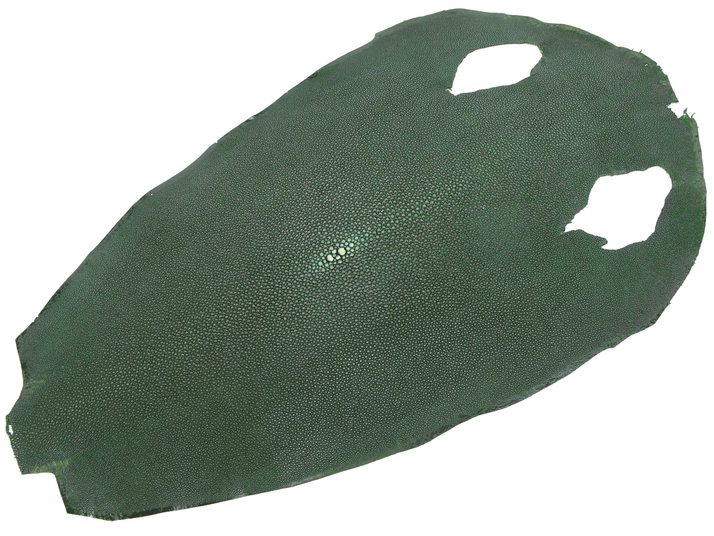 Genuine Polished Stingray Skin Leather Round Shape Hide Pelt