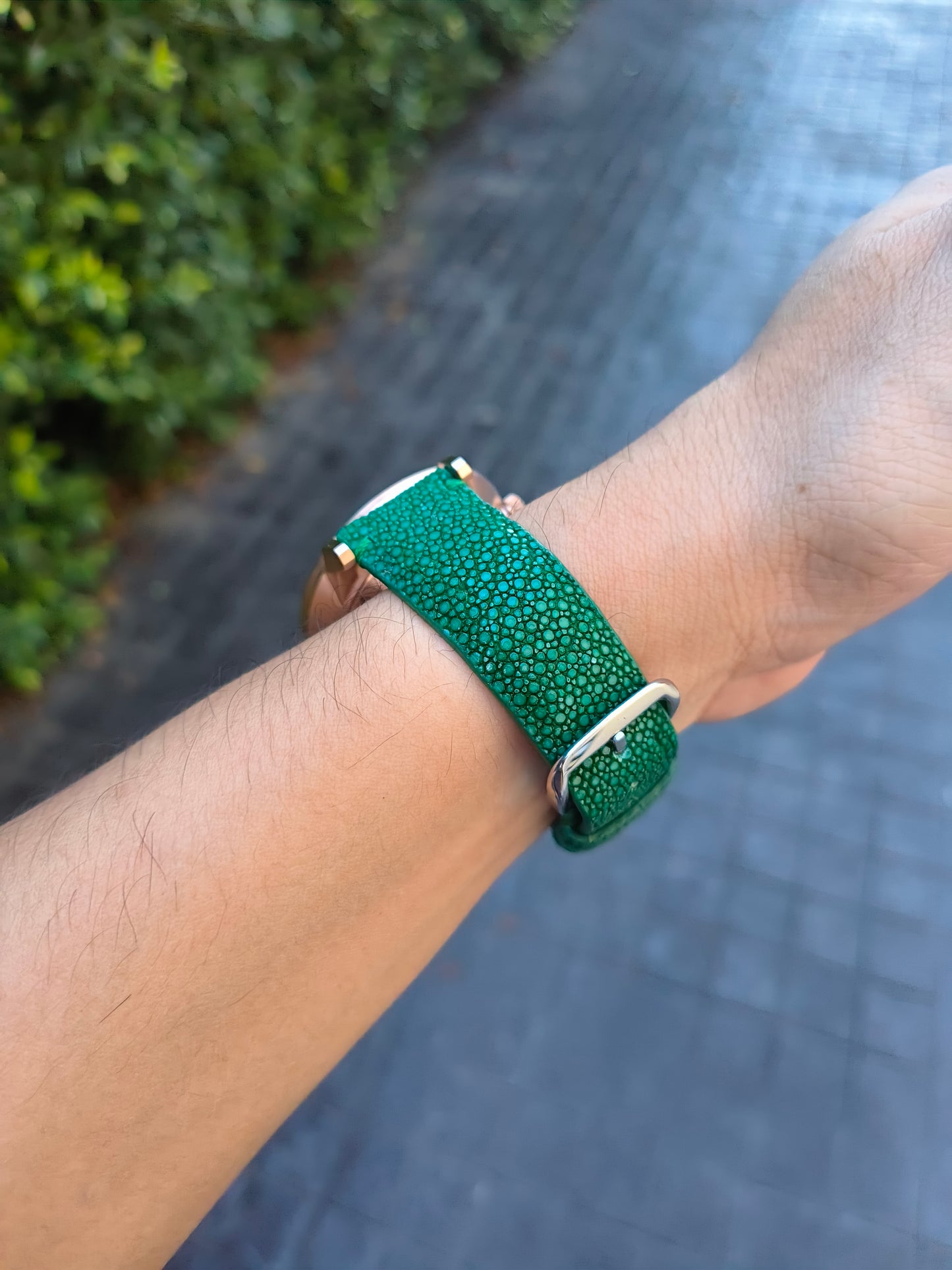Genuine Polished Stingray Skin Leather Quick Release Watch Strap Green Band with Buckle