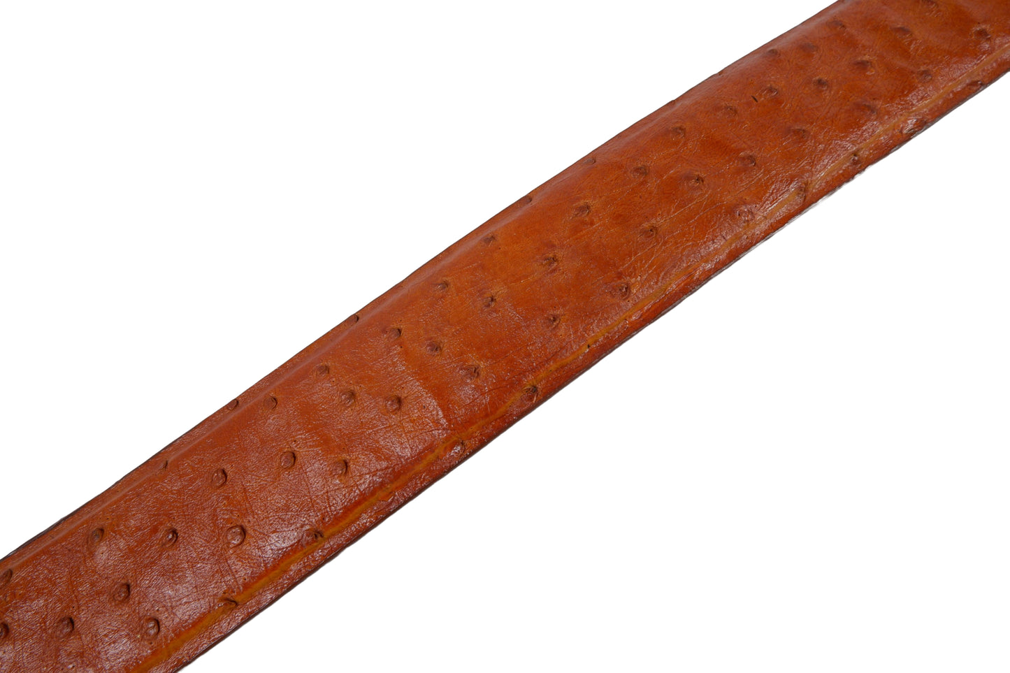 Genuine Ostrich Quill Skin Leather Casual Men's Belt