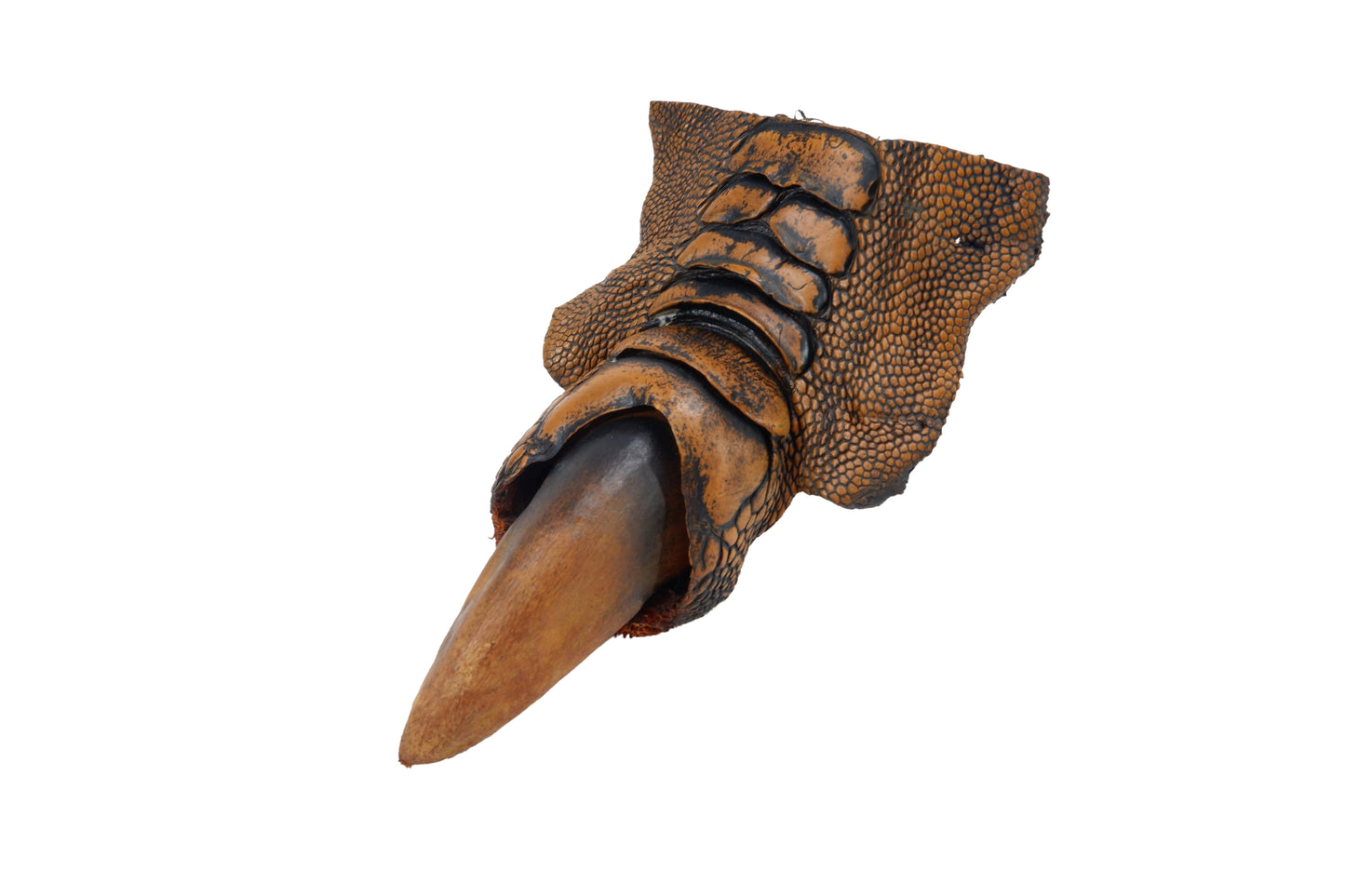 Genuine Ostrich Nail Claw Skin Leather Hide Pelt