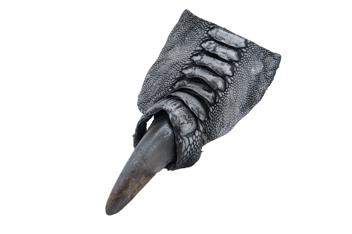 Genuine Ostrich Nail Claw Skin Leather Hide Pelt