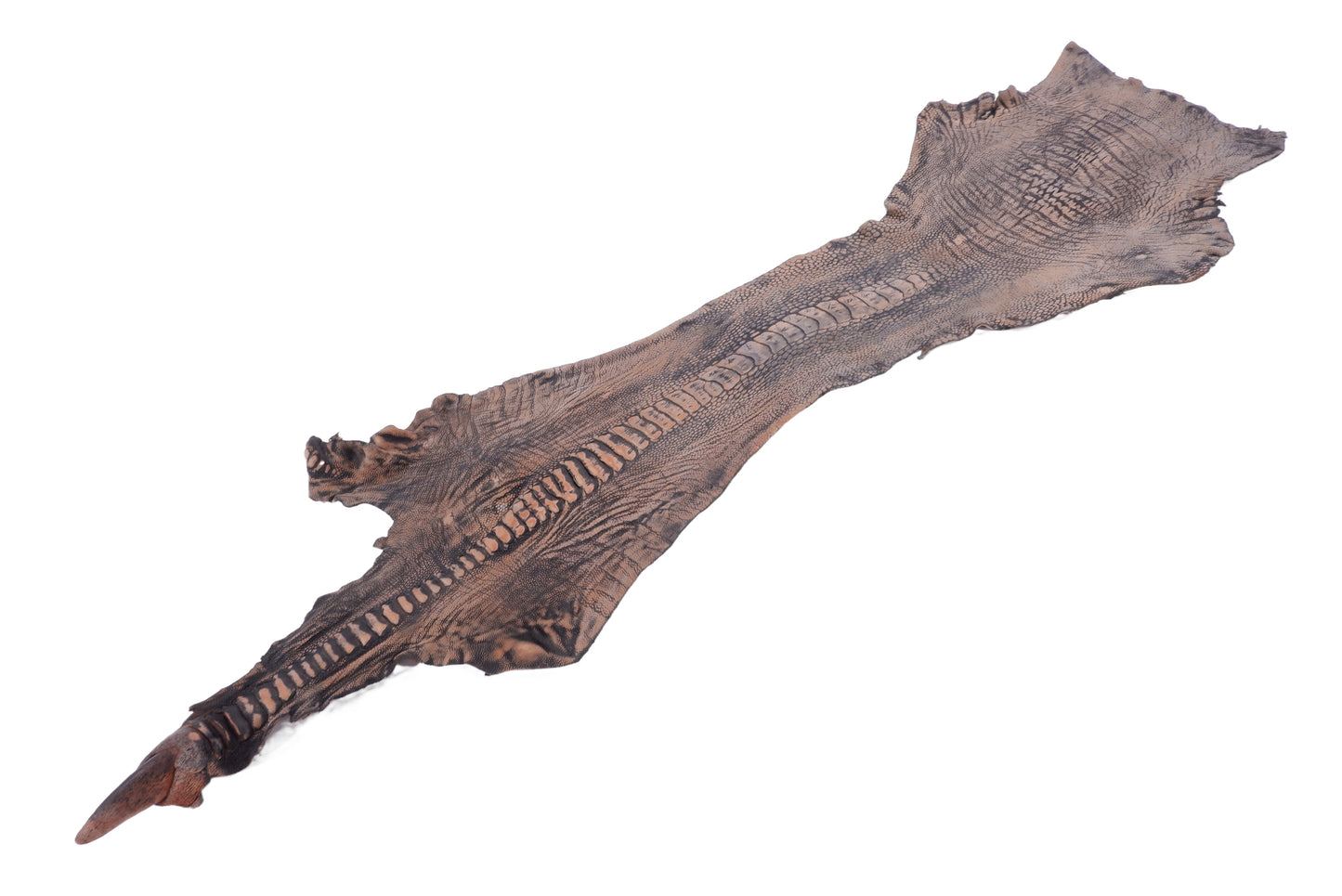 Genuine Ostrich Leg Skin with Claw Leather Hide Pelt