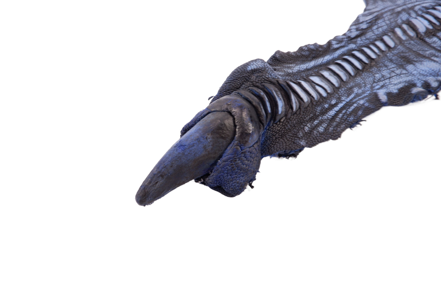 Genuine Ostrich Leg Skin with Claw Leather Hide Pelt