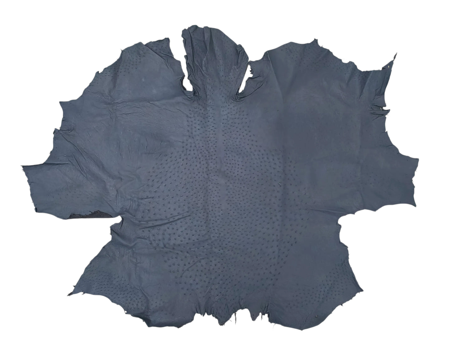 Genuine Ostrich Quill Skin Leather Hide Pelt
