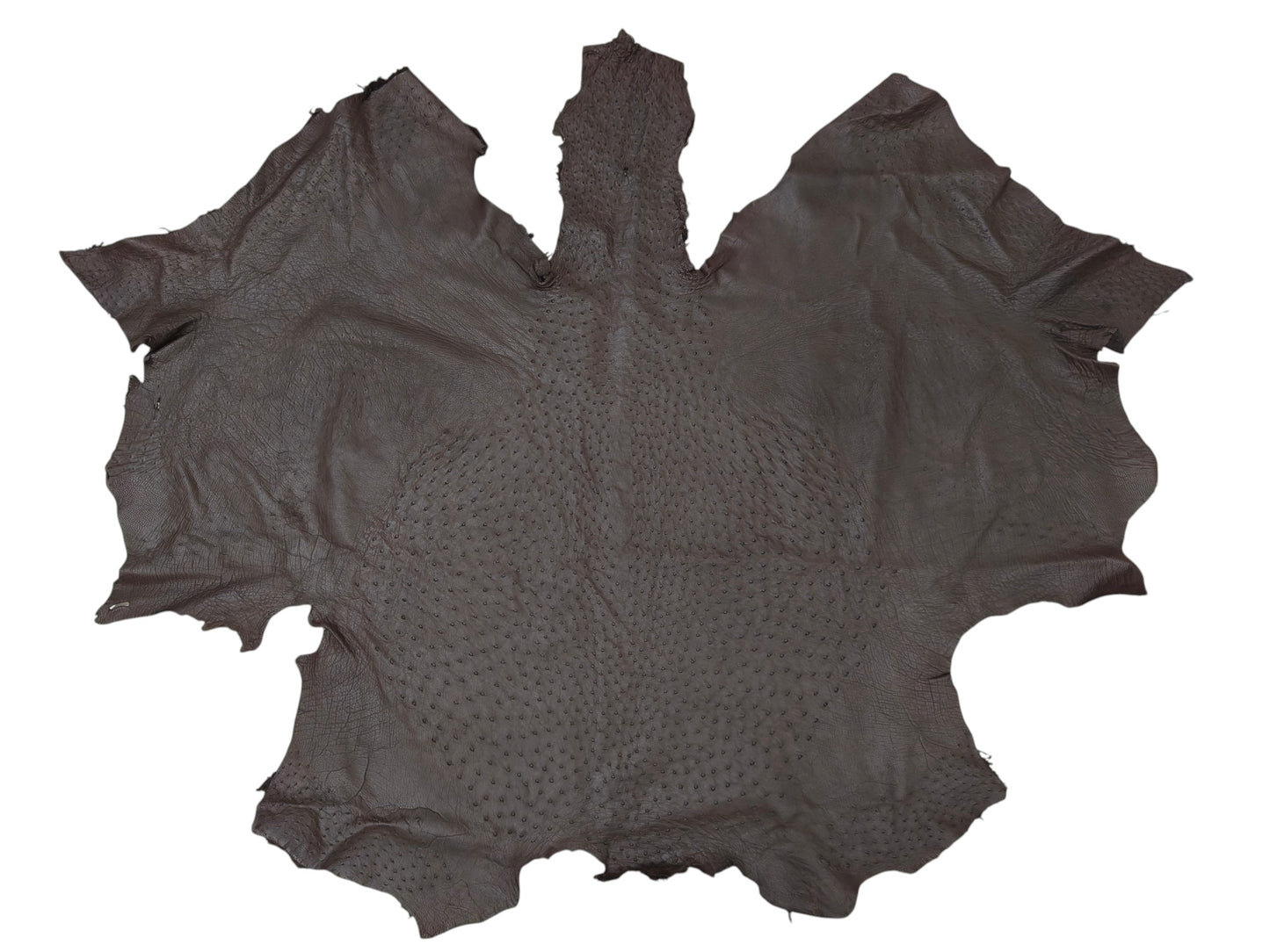 Genuine Ostrich Quill Skin Leather Hide Pelt