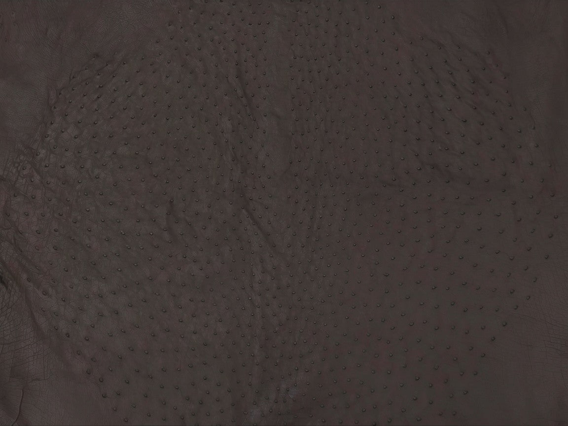 Genuine Ostrich Quill Skin Leather Hide Pelt