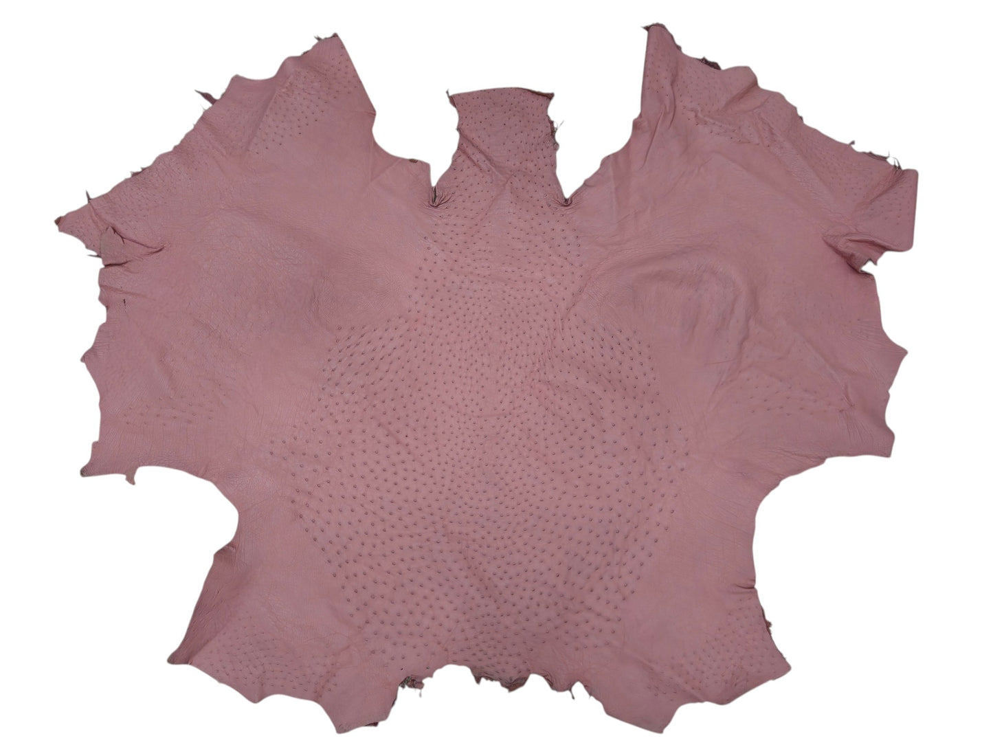 Genuine Ostrich Quill Skin Leather Hide Pelt