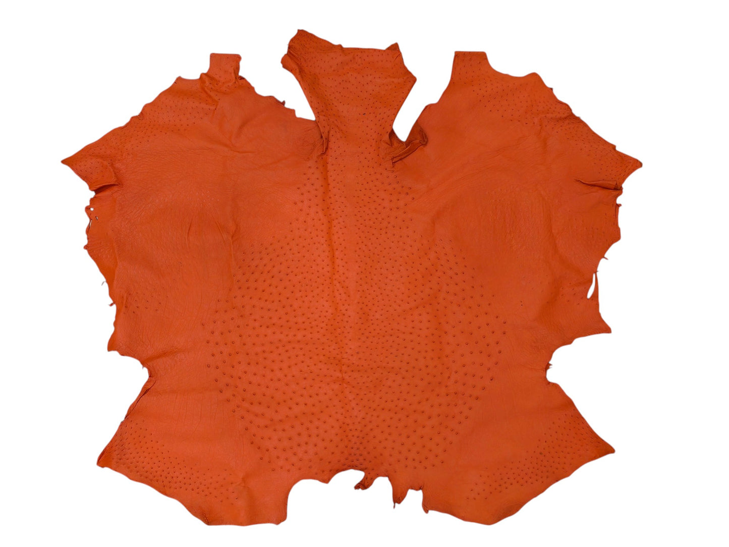 Genuine Ostrich Quill Skin Leather Hide Pelt