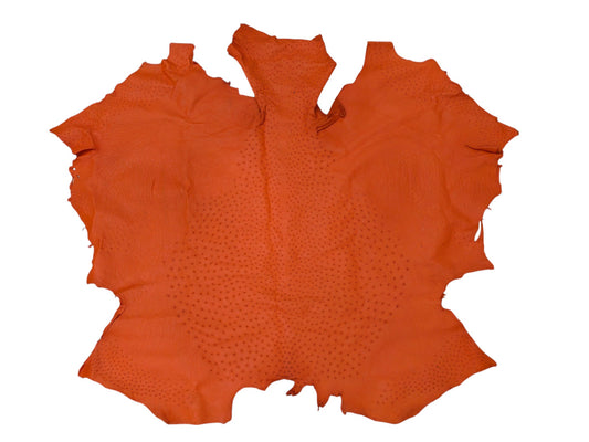 Genuine Ostrich Quill Skin Leather Hide Pelt