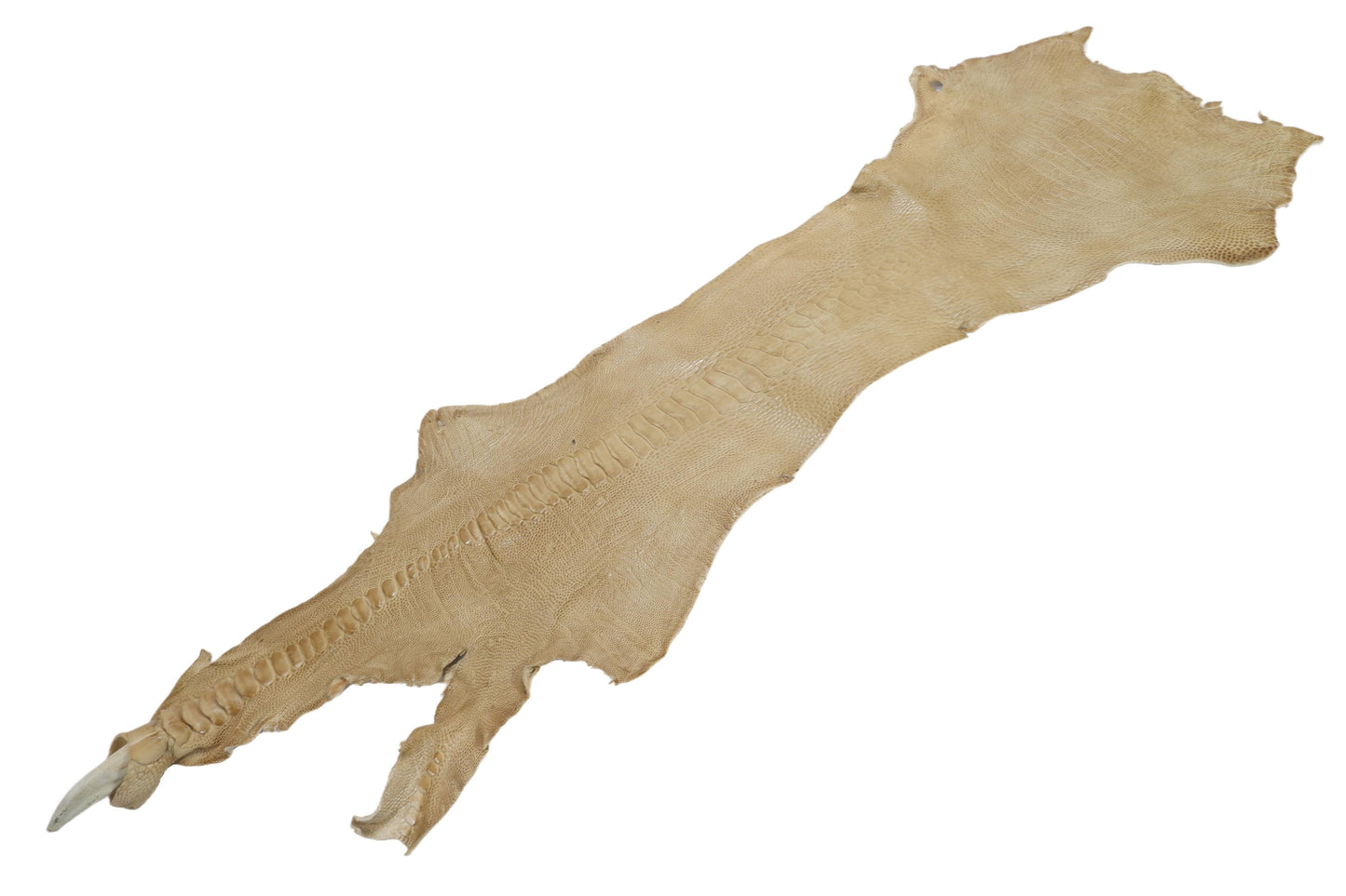 Genuine Ostrich Leg Skin with Claw Leather Hide Pelt
