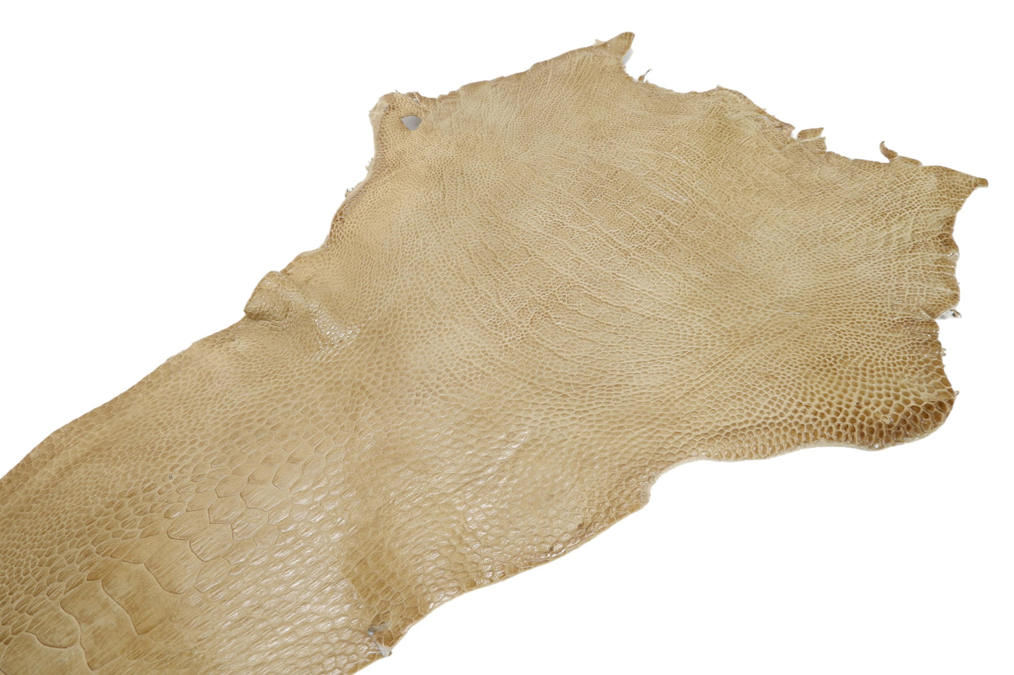 Genuine Ostrich Leg Skin with Claw Leather Hide Pelt