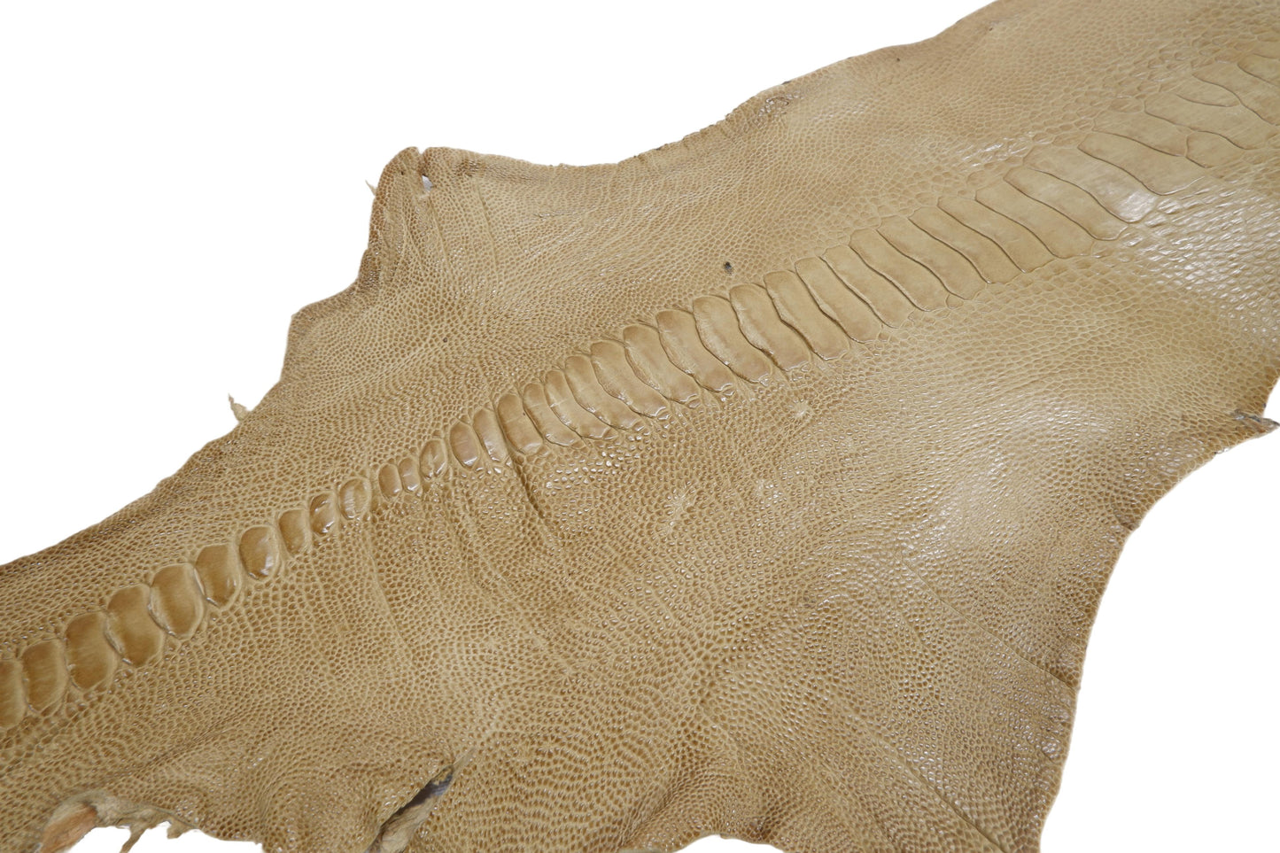 Genuine Ostrich Leg Skin with Claw Leather Hide Pelt
