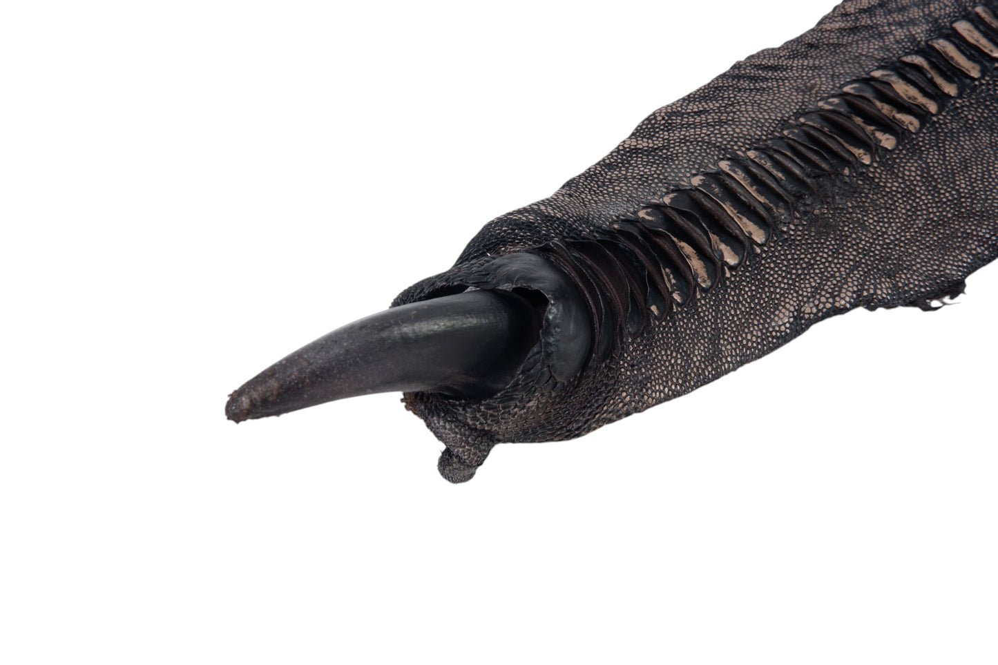 Genuine Ostrich Leg Skin with Claw Leather Hide Pelt