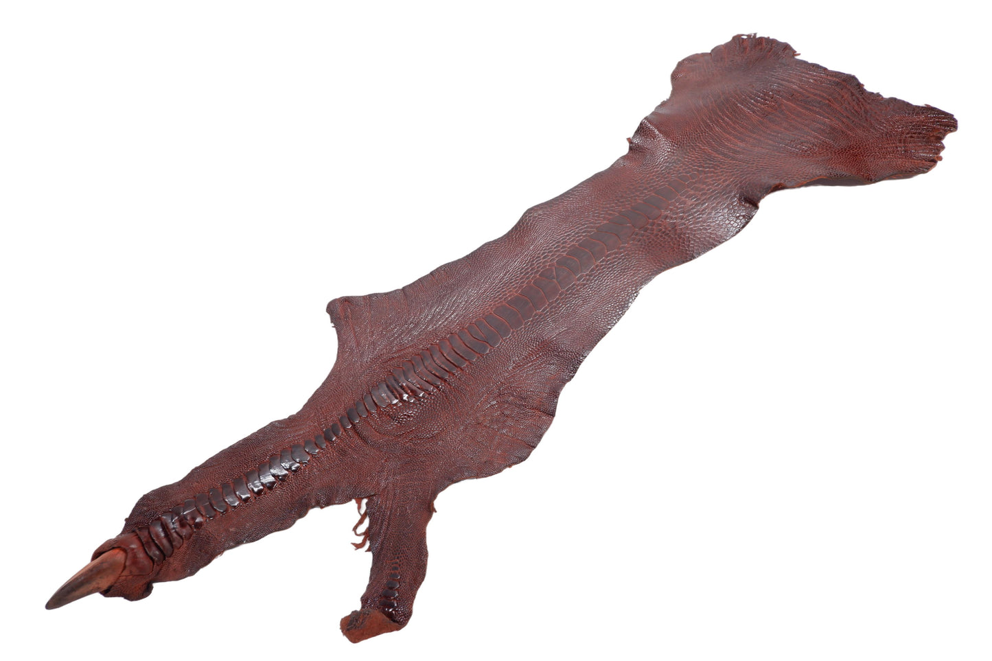 Genuine Ostrich Leg Skin with Claw Leather Hide Pelt