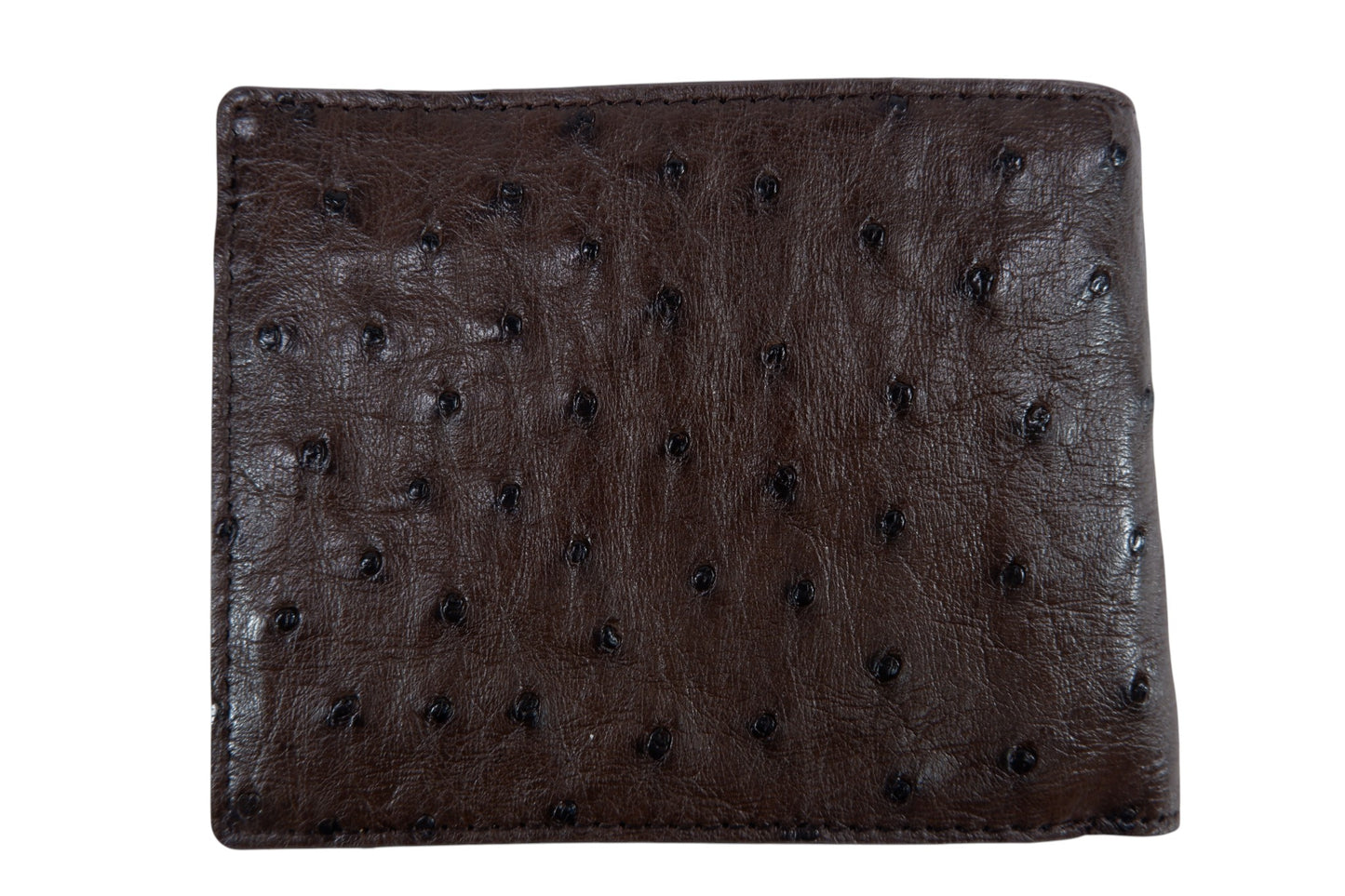 Genuine Ostrich Quill Skin Leather Soft Bifold Wallet