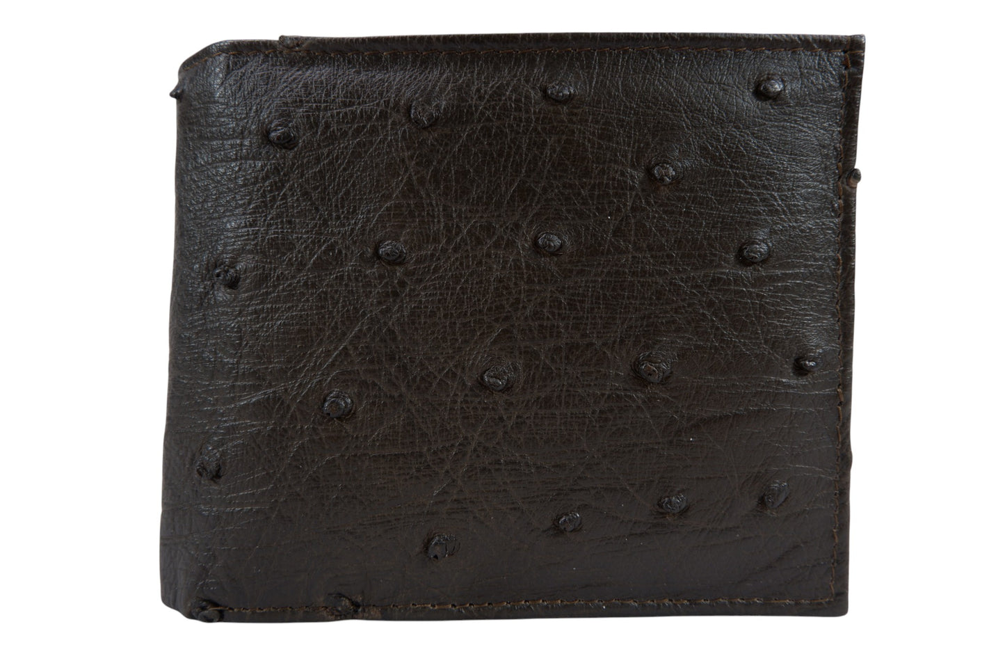 Genuine Ostrich Quill Skin Leather Soft Bifold Wallet with Ostrich Interior