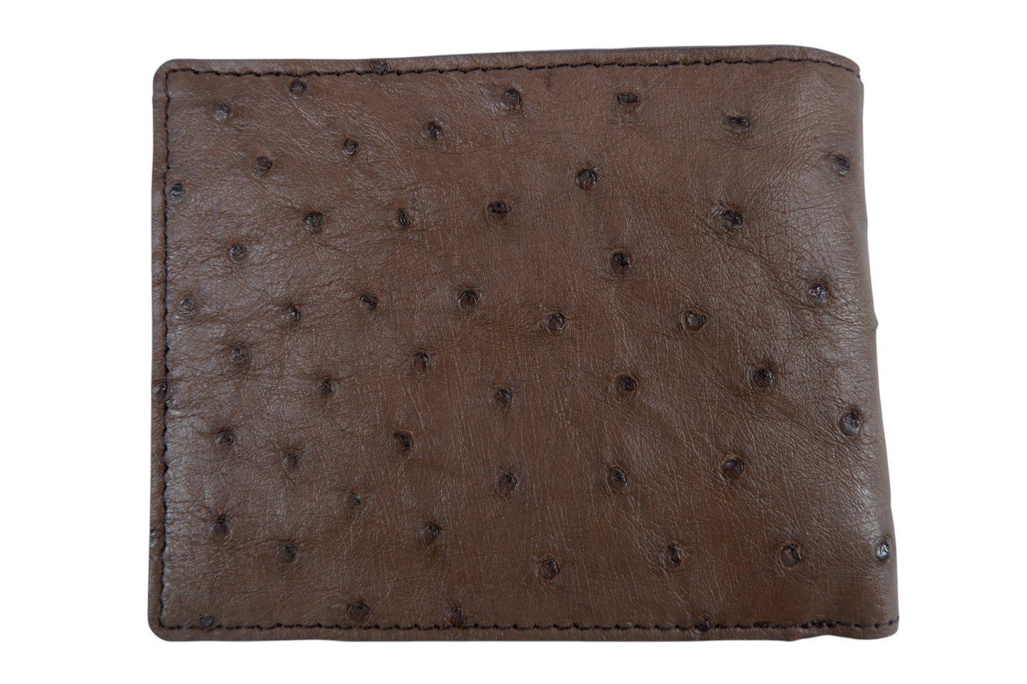 Genuine Ostrich Quill Skin Leather Soft Bifold Wallet