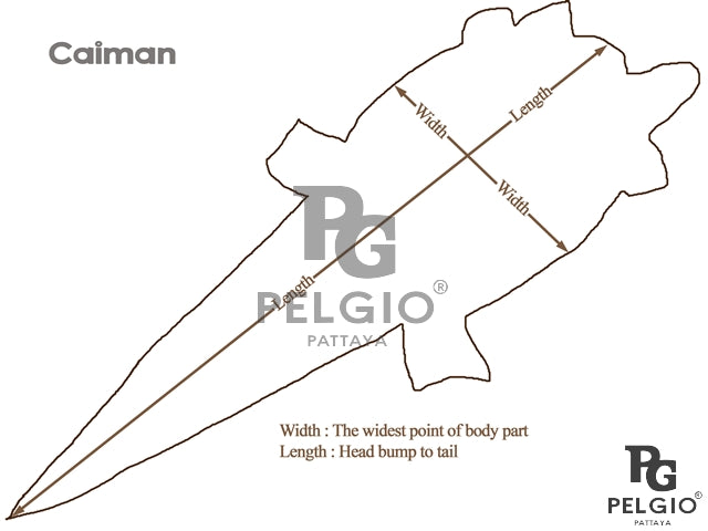 Genuine Caiman Crocodile Hornback Skin Leather Hide Pelt