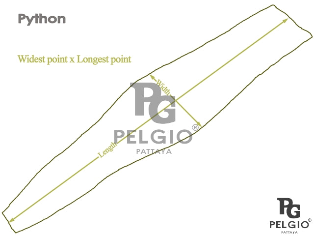 Genuine Reticulated Python Skin Hide Pelt Natural