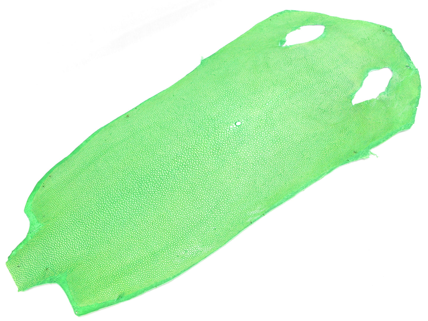 Genuine Polished Stingray Skin Leather Long Shape Hide Pelt