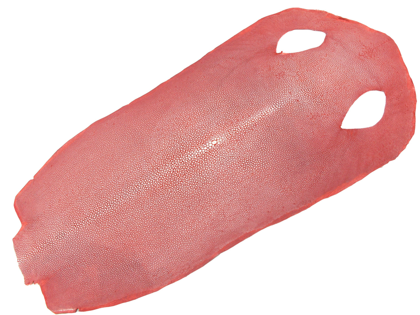 Genuine Polished Stingray Skin Leather Long Shape Hide Pelt