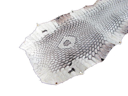 Genuine Cobra Snake Skin Leather Hide Pelt