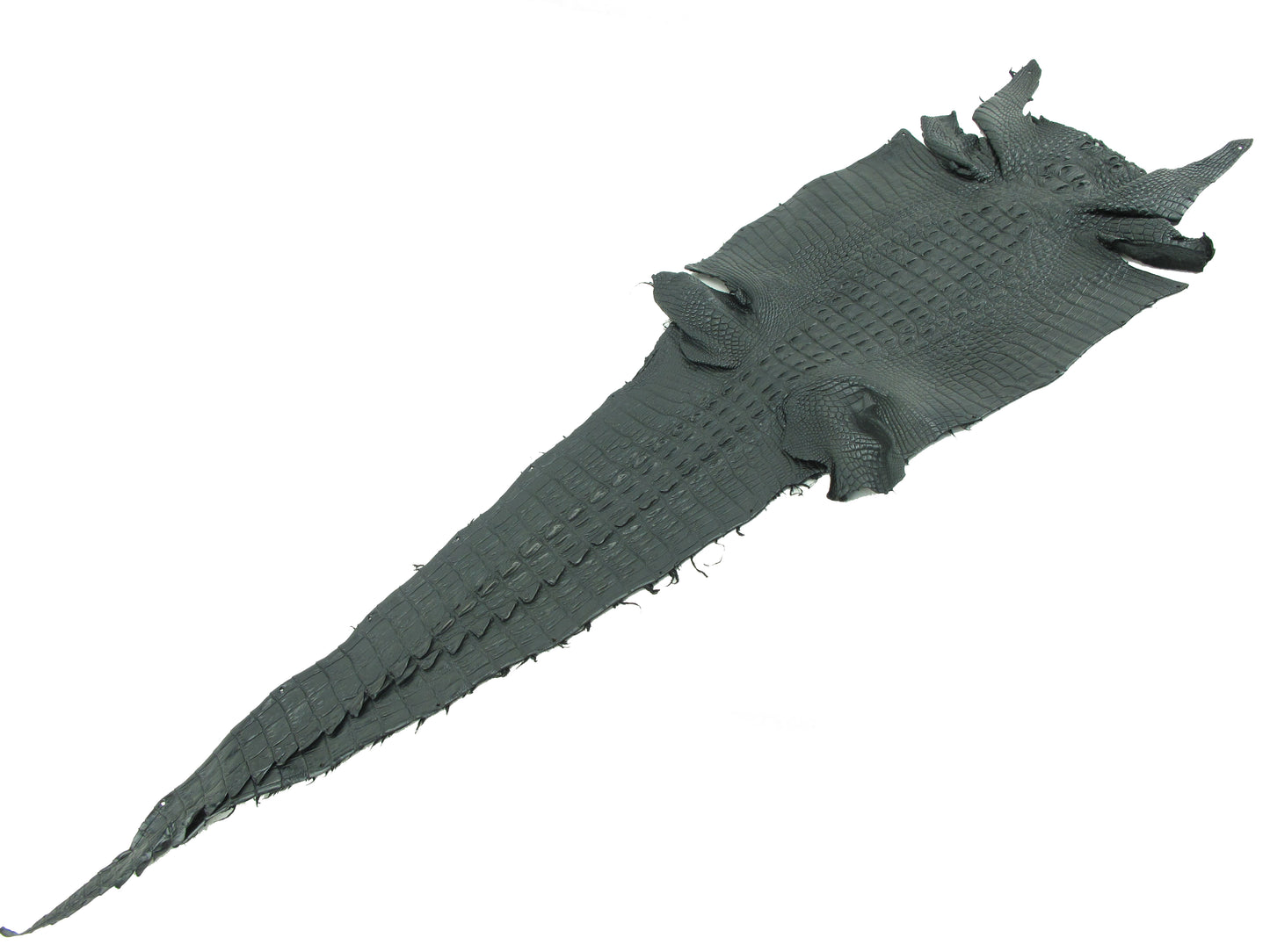 Genuine Crocodile Hornback Skin Leather Hide Pelt