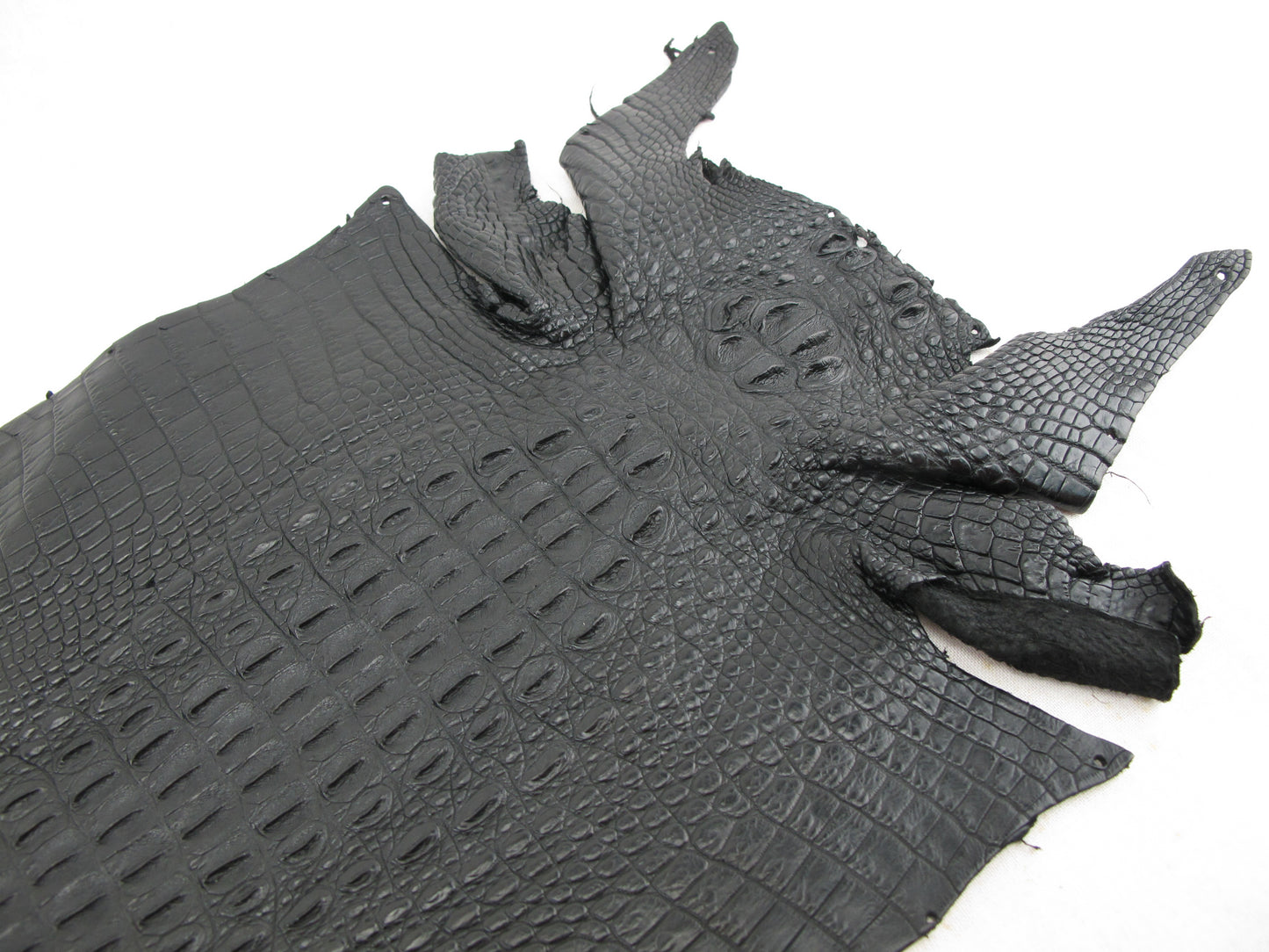 Genuine Crocodile Hornback Skin Leather Hide Pelt