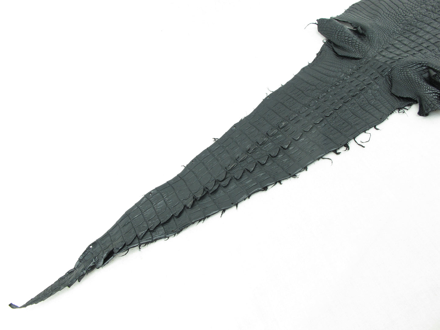 Genuine Crocodile Hornback Skin Leather Hide Pelt