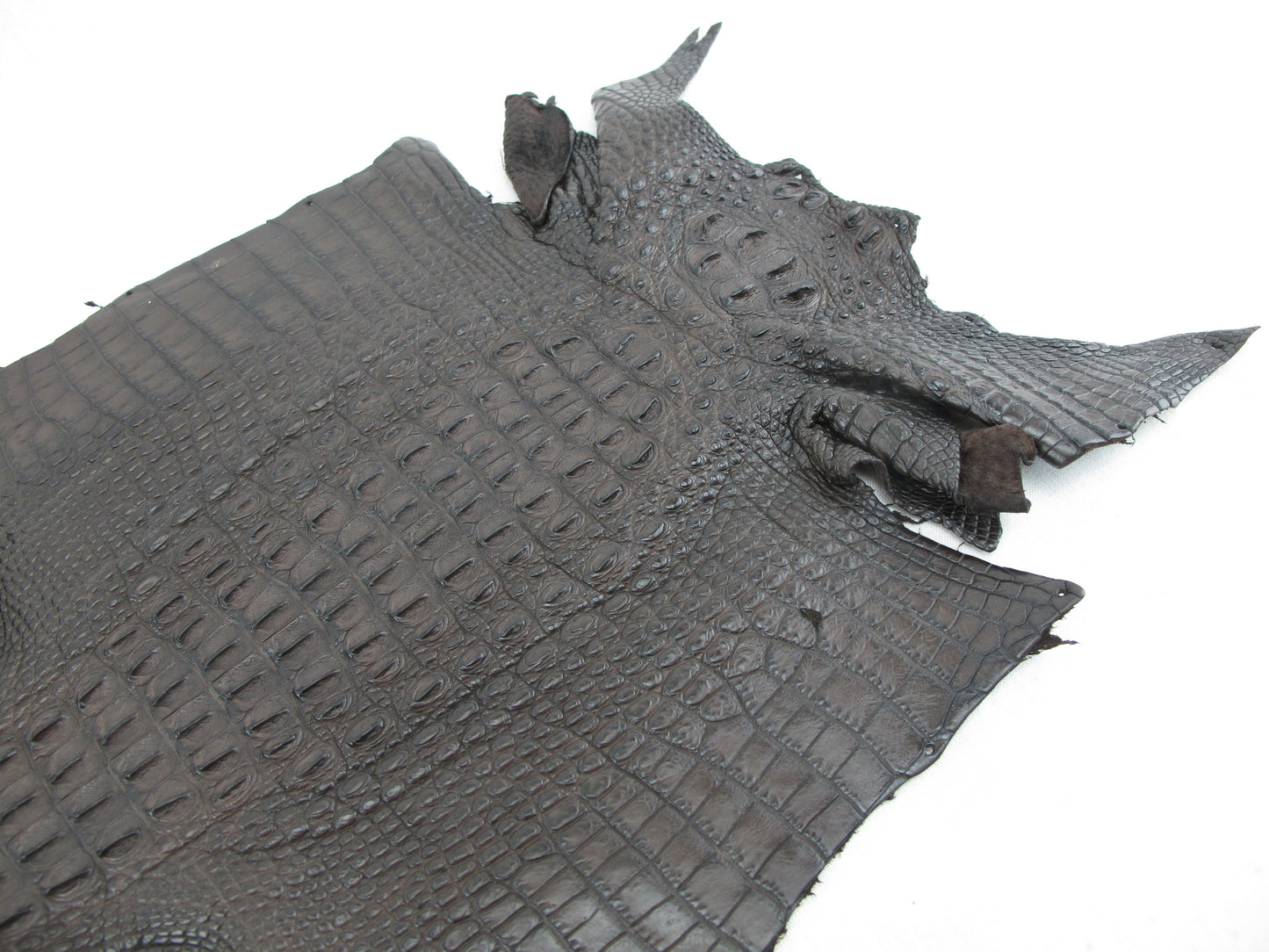 Genuine Crocodile Hornback Skin Leather Hide Pelt