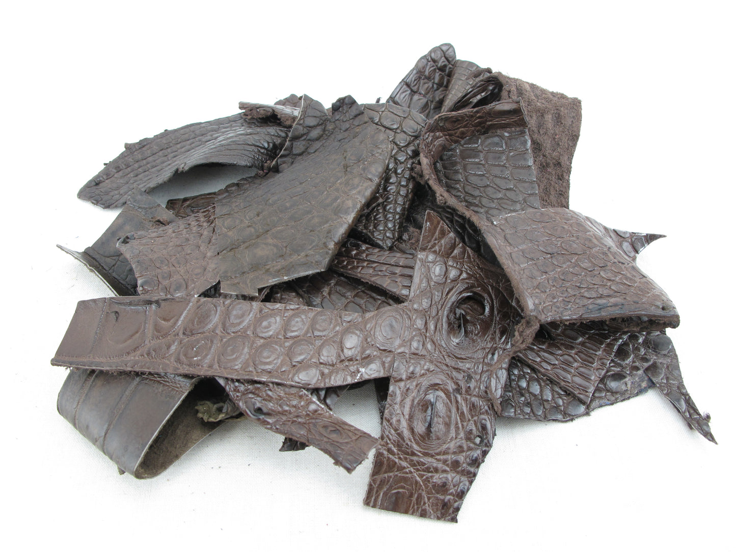 Genuine Crocodile Skin Leather Scraps Hide Pelt 100 grams