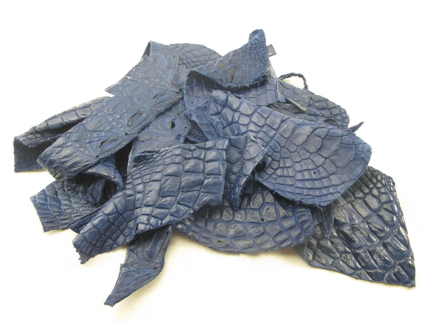 Genuine Crocodile Skin Leather Scraps Hide Pelt 100 grams