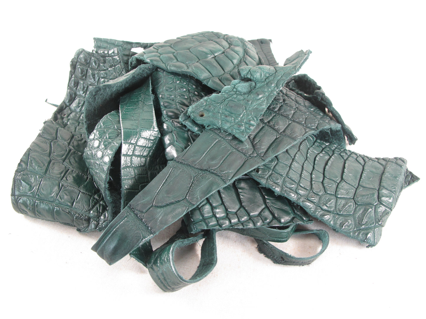 Genuine Crocodile Skin Leather Scraps Hide Pelt 100 grams