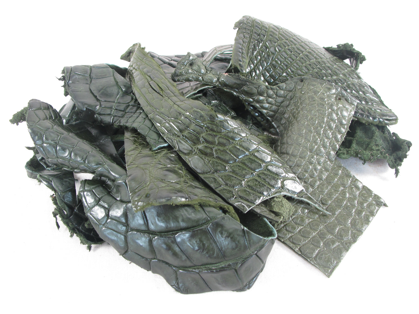 Genuine Crocodile Skin Leather Scraps Hide Pelt 100 grams