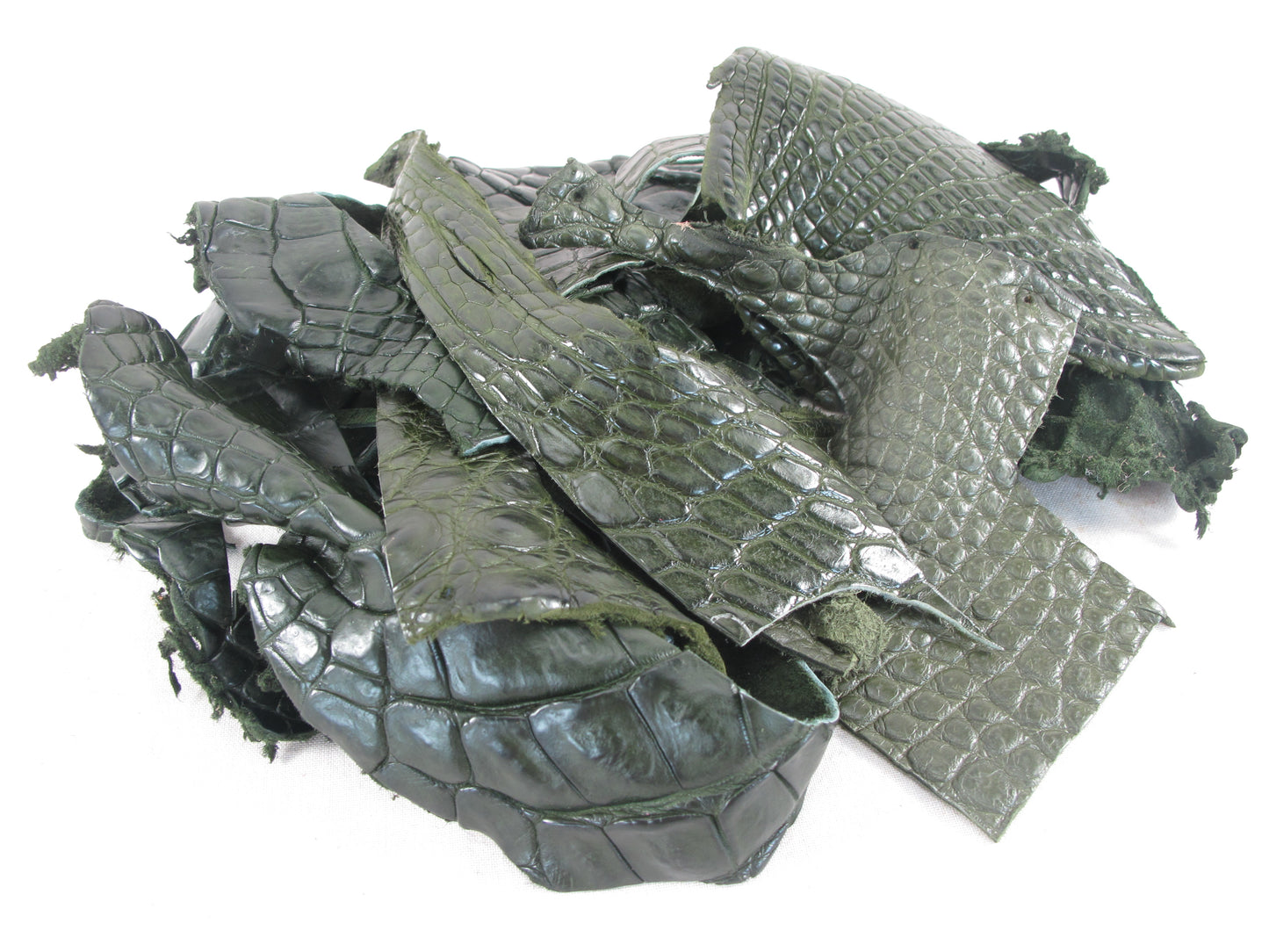 Genuine Crocodile Skin Leather Scraps Hide Pelt 100 grams