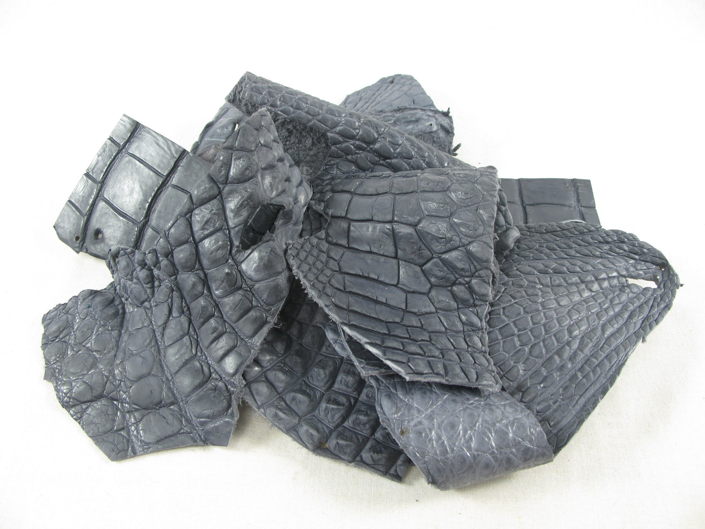 Genuine Crocodile Skin Leather Scraps Hide Pelt 100 grams